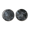 Natural Larvikite Pendants G-B071-01J-1