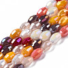 Electroplate Glass Beads Strands X-EGLA-N002-09F-1