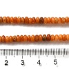 Natural Dolomite Beads Strands G-K350-A01-01E-5