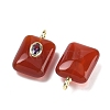 Natural Carnelian Pendants G-H322-02G-06-2