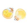 Transparent Resin Pendants LS-RESI-K203-19-3