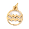 Ion Plating(IP) 304 Stainless Steel Charms STAS-R135-05G-11-1
