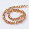 Electroplate Glass Beads Strands GLAA-K025-FR-8mm-A-3