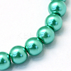 Baking Painted Pearlized Glass Pearl Round Bead Strands X-HY-Q003-6mm-29-2