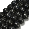 Natural Black Labradorite Beads Strands G-L642-B15-14mm-2