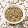 MIYUKI Delica Beads SEED-JP0008-DB1153-2