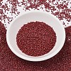 MIYUKI Delica Beads SEED-X0054-DB2354-1