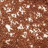 Baking Paint Glass Seed Beads X-SEED-S042-18B-01-3