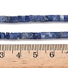Natural Sodalite Beads Strands G-P468-19-2