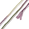 10 Skeins 6-Ply Polyester Embroidery Floss OCOR-K006-A78-3