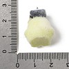 Flocking Opaque Resin Pendants RESI-G123-01K-3