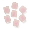 Frosted Acrylic European Beads OACR-G012-14C-1