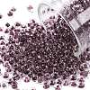 8/0 Glass Seed Beads SEED-A014-3mm-136B-1