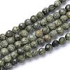 Natural Serpentine/Green Lace Stone Bead Strands G-R411-11-6mm-1