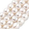 Natural Cultured Freshwater Pearl Beads Strands PEAR-P062-31B-2