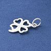 S925 Sterling Silver Pendant STER-H115-08A-S-2