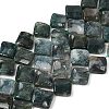 Natural Moss Agate Beads Strands G-L239-16-2