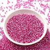 Glass Seed Beads SEED-S042-04B-19-2