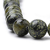 Natural Serpentine/Green Lace Stone Beads Strands X-G-S259-15-6mm-3
