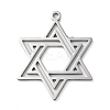Non-Tarnish 304 Stainless Steel Pendants LS-STAS-R116-01P-1