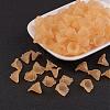 Transparent Acrylic Beads PL622-C06-1