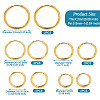 10Pcs 5 Size 316L Surgical Stainless Steel Huggie Hoop Earrings for Girl Women EJEW-TA0001-10-3