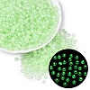 FGB Grade A Transparent Glass Seed Beads SEED-Q040-03A-03-1