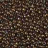 TOHO Round Seed Beads SEED-TR08-0459-2
