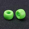 Opaque Acrylic European Large Hole Beads PL338-8-3