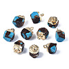 Assembled Synthetic Bronzite and Turquoise Charms G-N330-47C-1
