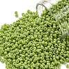 TOHO Round Seed Beads SEED-XTR11-0131-1