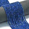 Natural Blue Agate(Dyed & Heated) Beads Strands G-A260-A12-01-1