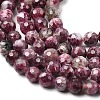 Natural Plum Blossom Tourmaline Beads Strands G-G344-C01-6mm-4