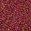 Round Glass Seed Beads SEED-A007-3mm-165-2