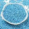 Baking Paint Glass Seed Beads SEED-S042-05A-38-2