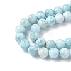 Natural Larimar Beads Strands G-B141-01-6mm-4