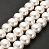 Shell Pearl Beads Strands BSHE-F013-01A-2