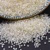 MIYUKI Delica Beads SEED-JP0008-DB0109-1