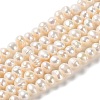 Natural Cultured Freshwater Pearl Beads Strands PEAR-E018-51-1