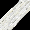 Natural Trochus Shell Beads Strands BSHE-Z003-18-1