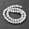 Cat Eye Beads G-V002-B01-01-2