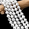 Natural Howlite Beads Strands G-Z119-A43-02-1