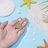 8Pcs 2 Styles Natural Shell Petaline Charms SHEL-GO0001-11-3
