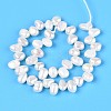 Natural Cultured Freshwater Pearl Beads Strands PEAR-T006-14-3