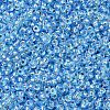 MIYUKI Round Rocailles Beads X-SEED-G007-RR1018-2