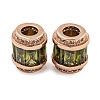 Rack Plating Brass Micro Pave Cubic Zirconia European Beads KK-F089-31RG-05-1