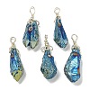 Electroplated Platinum Palted Copper Wire Wrapped Natural Quartz Crystal Pendants G-L133-07I-1