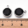 K9 Glass Charms GLAA-T023-37B-01-3
