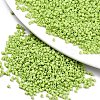 FGB 11/0 Grade A Glass Seed Beads X-SEED-S030-1013-1