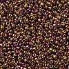 TOHO Round Seed Beads SEED-JPTR15-0514-2